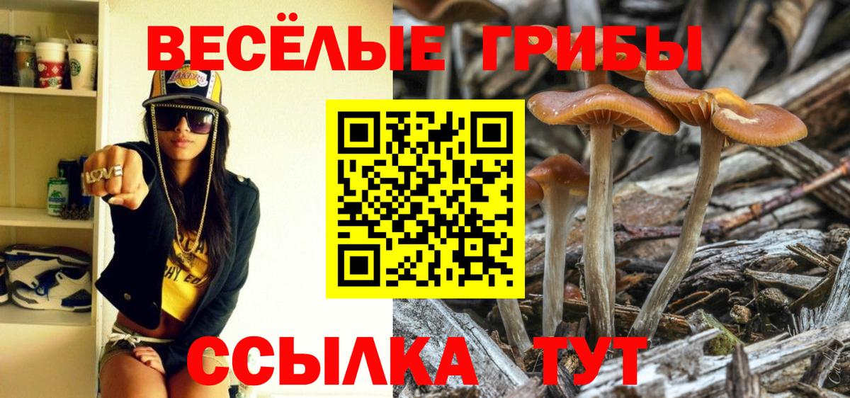 Галлюциногенные грибы Cubensis Людиново