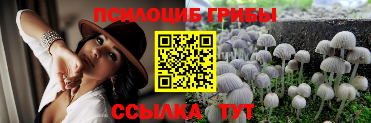 Псилоцибиновые грибы мухоморы  Вход с VPN  Людиново 